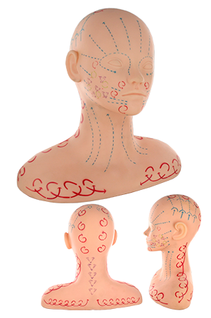 [MG93218] Practice Mannequin-Massage# M-2051(White Face) (#3218)