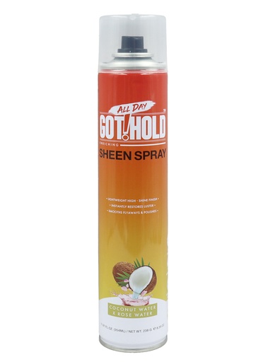 [EBN68612] All Day Got!Hold Sheen Spray (11.97 oz) #311
