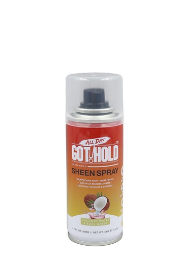 [EBN68613] All Day Got!Hold Sheen Spray (2.7 oz) #312